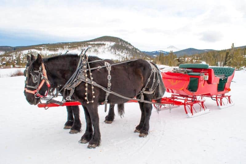 sleigh ride with horses in Breckenridge Colorado