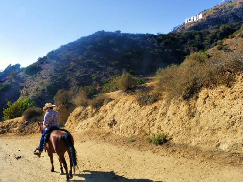 LA Hollywood sign horse riding