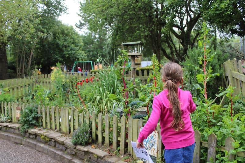 gardens at newquay zoo