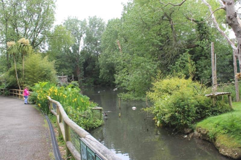 inside newquay zoo