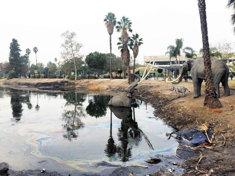 La_Brea_Tar_Pits LA