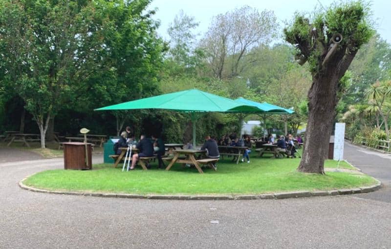 undercover picnic areas at newquay zoo