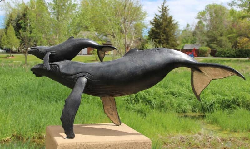 whale sculpture benson park loveland colorado