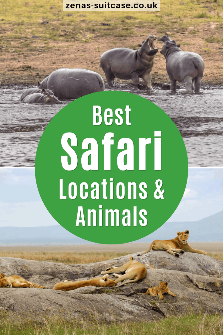 Not all safaris are made equal! Here's the best safari locations and the animals you will see. Check this out now for your next trip 
