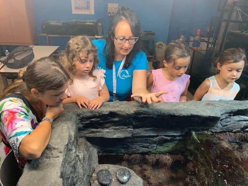 guided tour at genoa aquarium