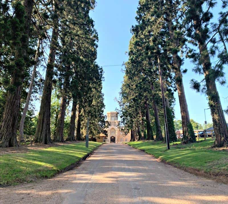 tree lined avenue arriving at studley castle 