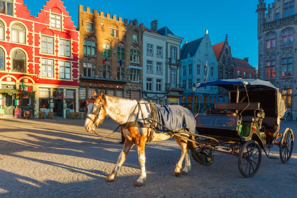 White horse hitched to a four wheel horse carriage waiting for tourists on Grote Markt square of Brugge Christmas, Belgium.