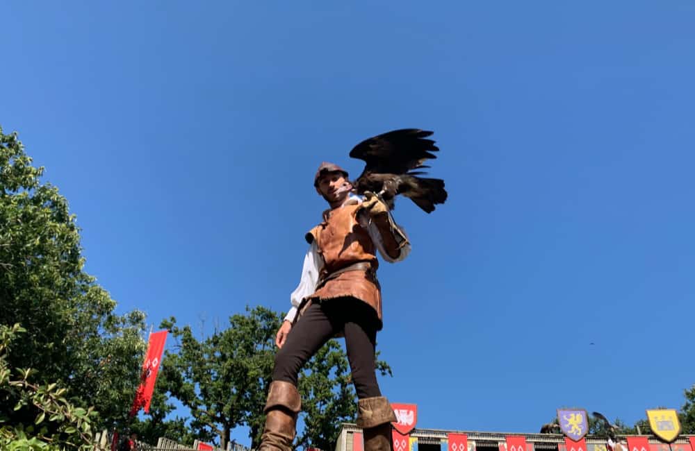 bird show puy du fou