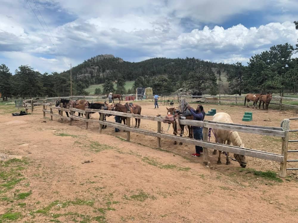 horses at dude ranch