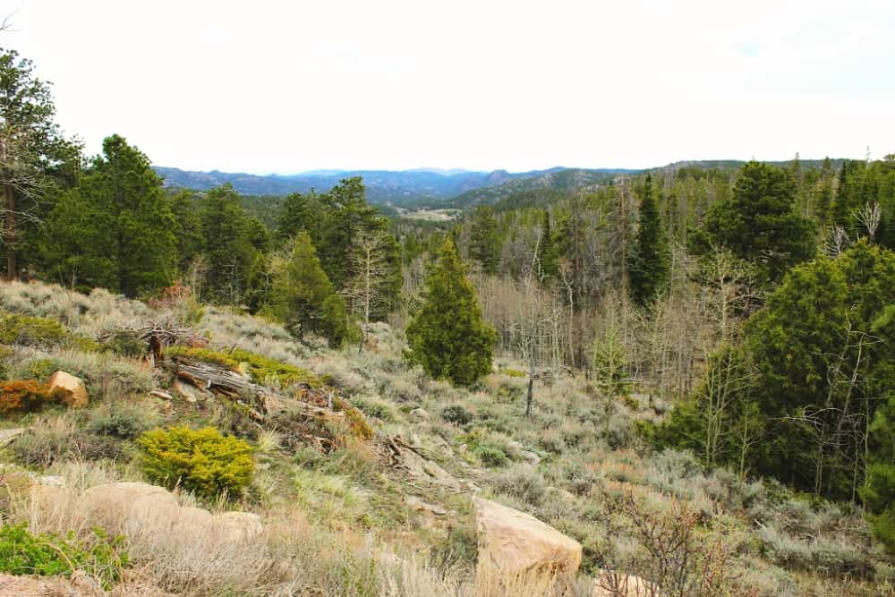 scenic view of red feather lakes colorado