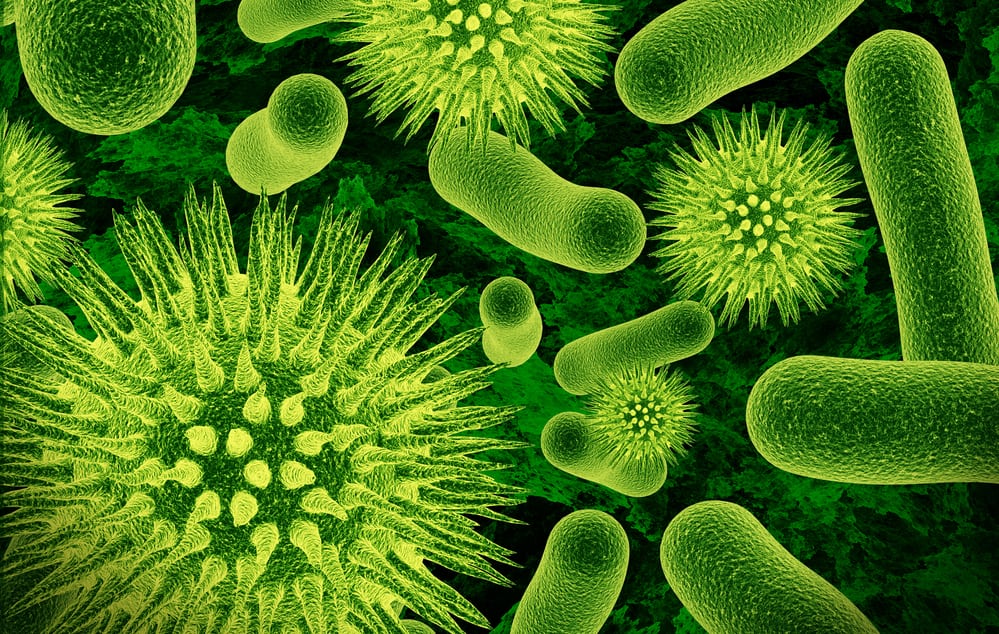 Realistic rendering of bacteria - in green colors