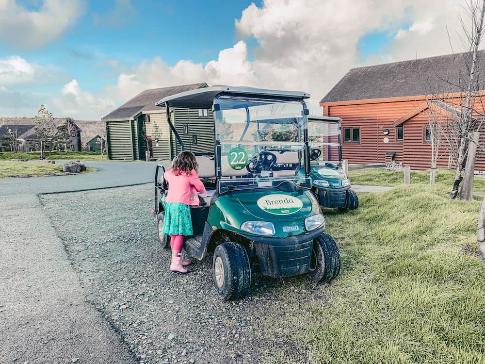 golf buggy parked at bluestone 