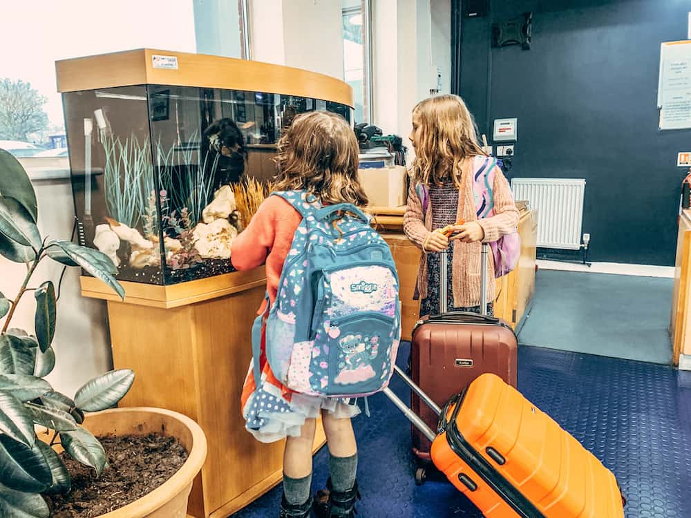 children looking at fish tank 