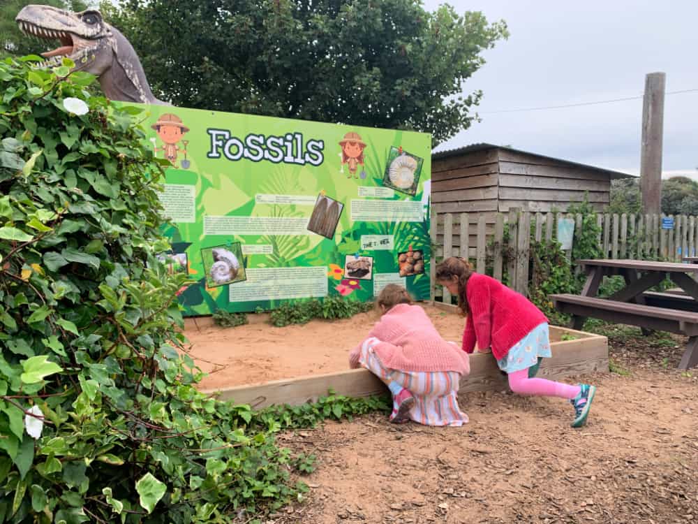 sand pit at mablethorpe seal sanctuary