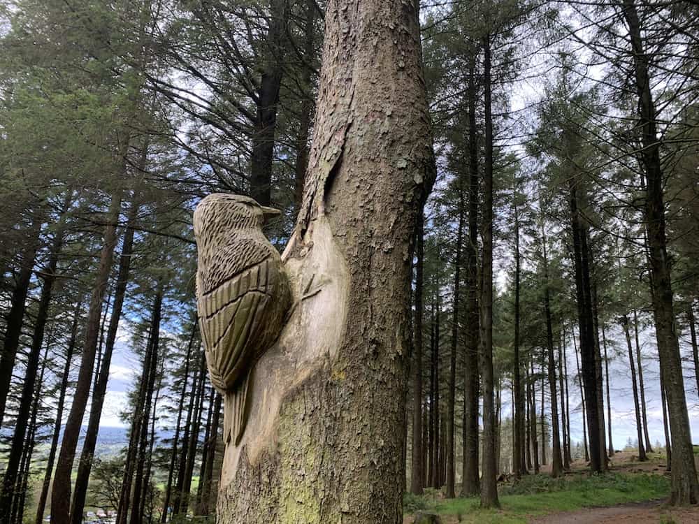 wooden carving woodpecker in tree