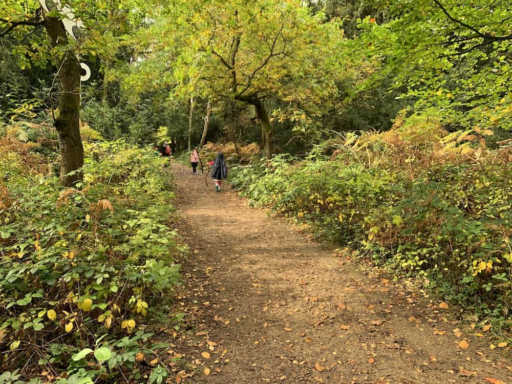 rufford abbey country park