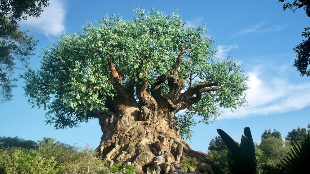 animal kingdom walt disney