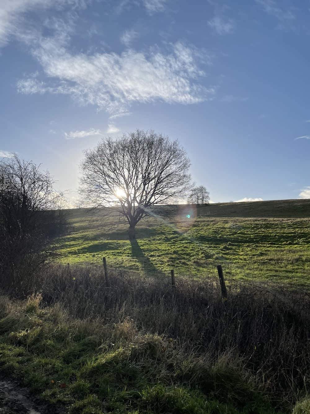 Bestwood country park 