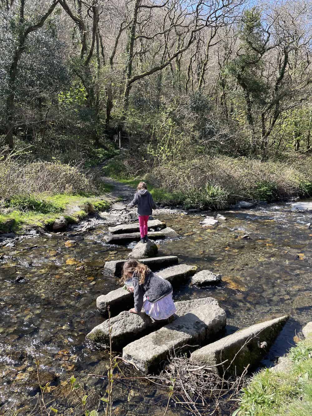 stepping stones at valency valley boscastle
