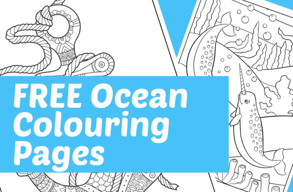 V. Popular Coral Reef Creatures Known for Their Vibrant Oceanic Coloring