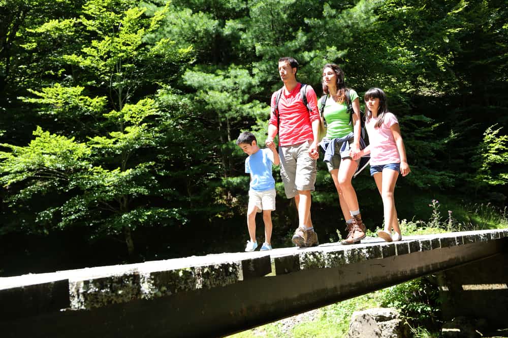 Family walking on a bridge in mountain forest