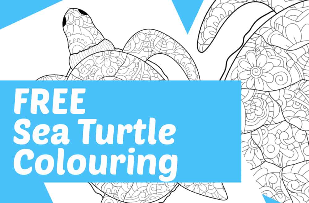 sea turtle colouring page