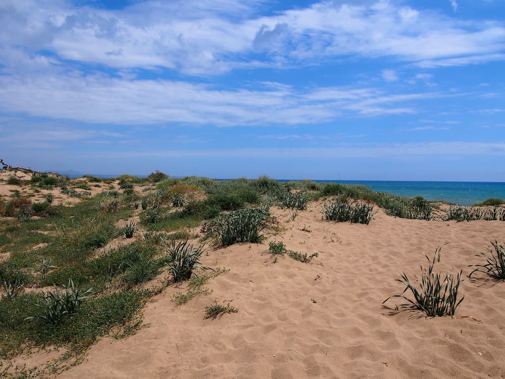 Belice Nature Reserve