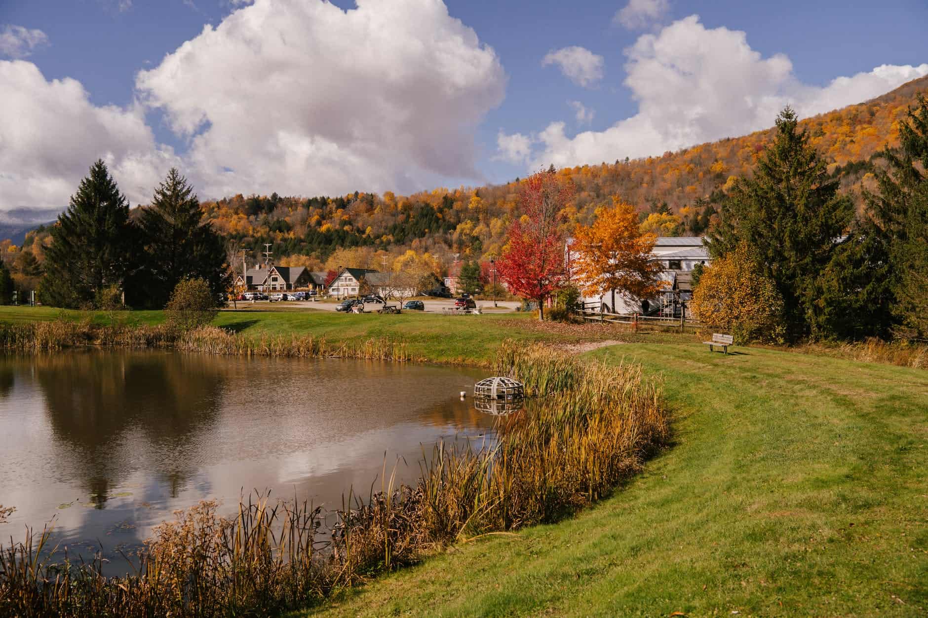 small village on shore of lake surrounded by trees