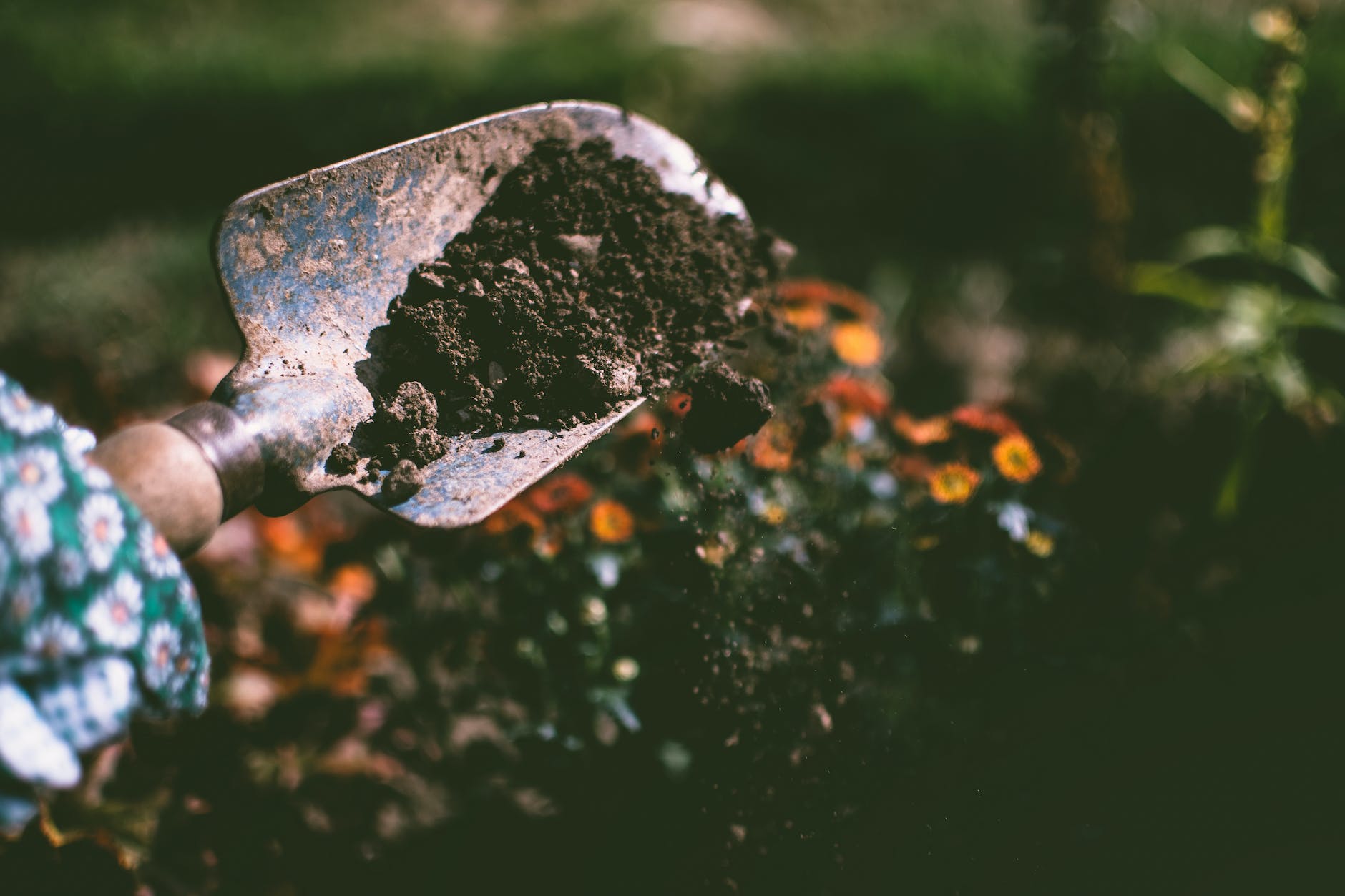 person digging on soil using garden shovel