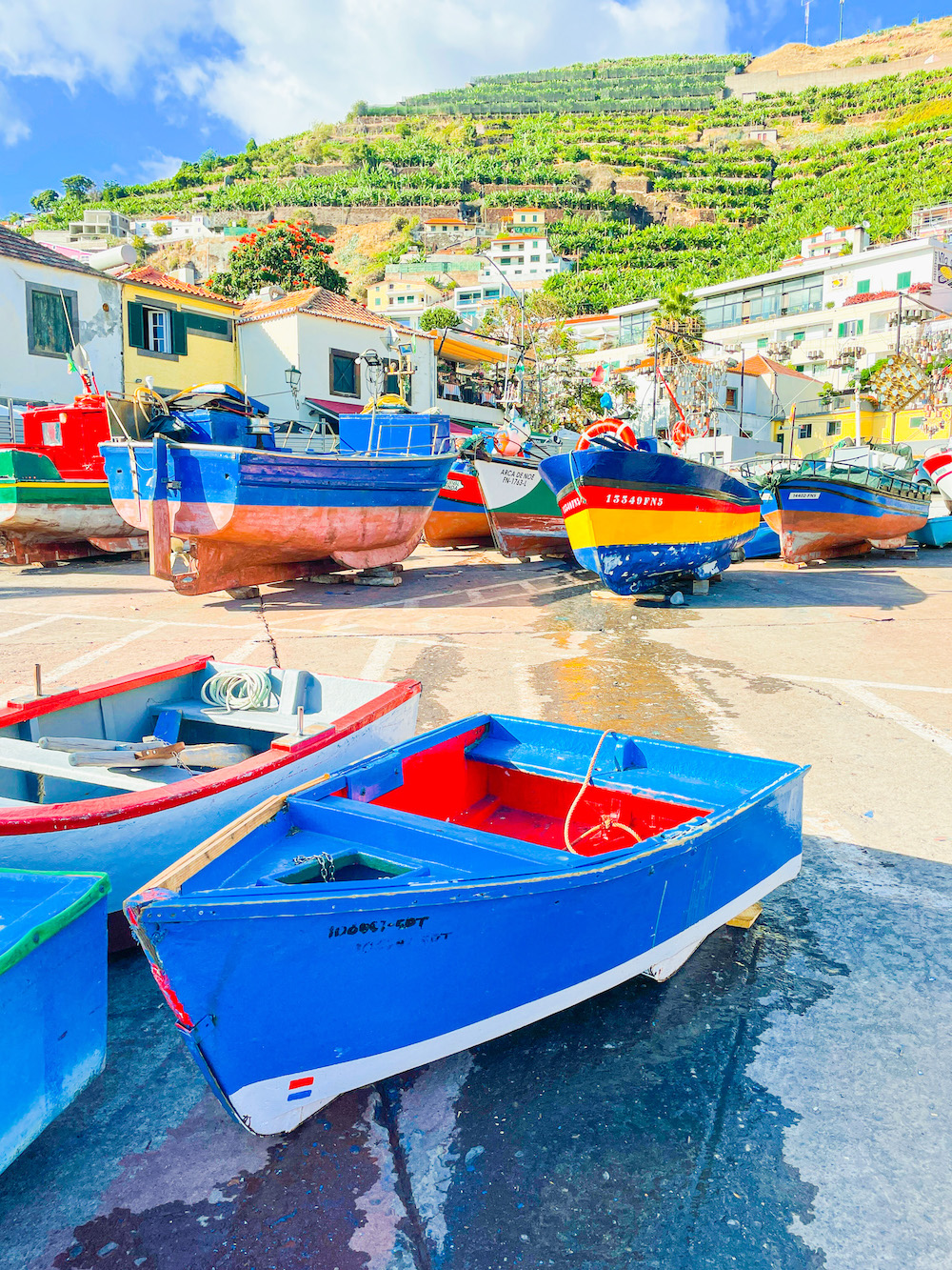 fishing boats Câmara de Lobos