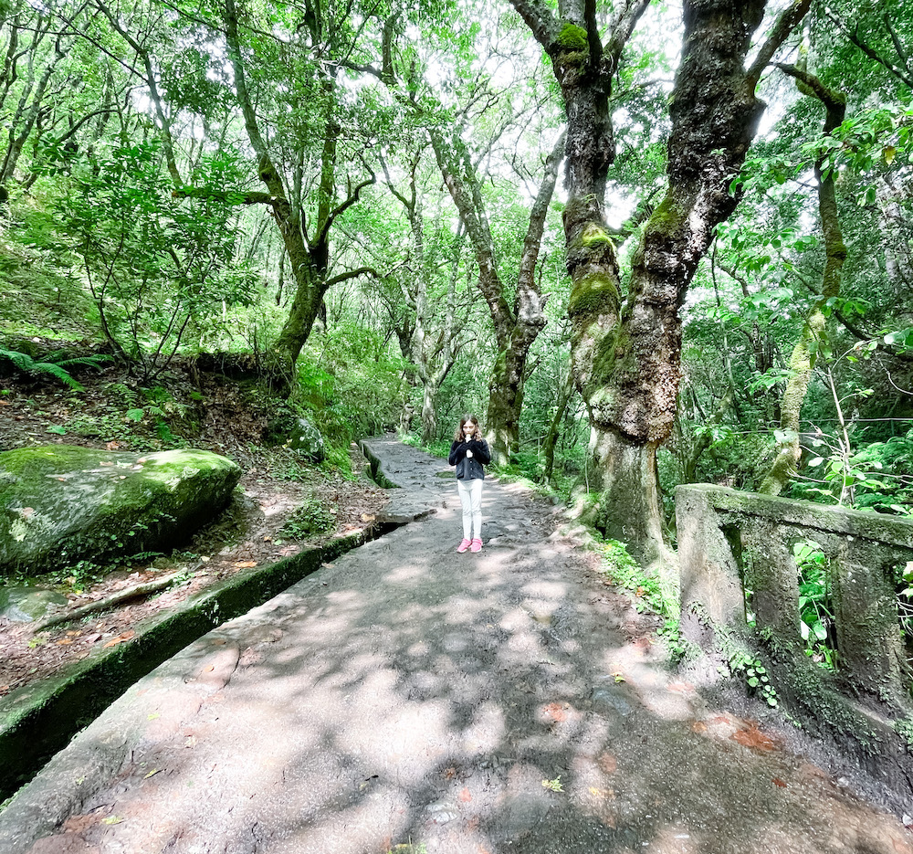 levada walk madeira