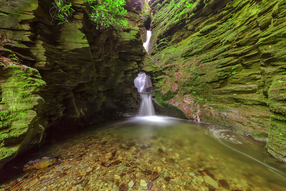 One of Cornwall’s most sacred sites.  St.Nectan’s waterfall is in a designated Site of Special Scientific Interest (SSSI), it has been described as amongst the ten most important spiritual sites in the country. A place of outstanding natural beauty.  The magic and tranquillity of St Nectan’s Kieve are unique.  The Kieve is a potent symbol of Mother Earth.