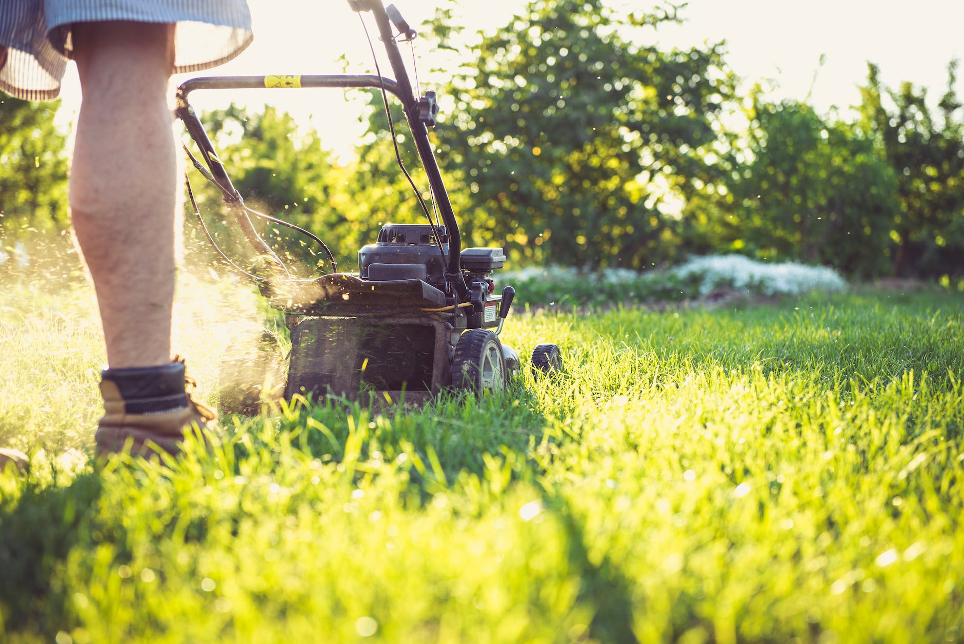 man mowing lawn