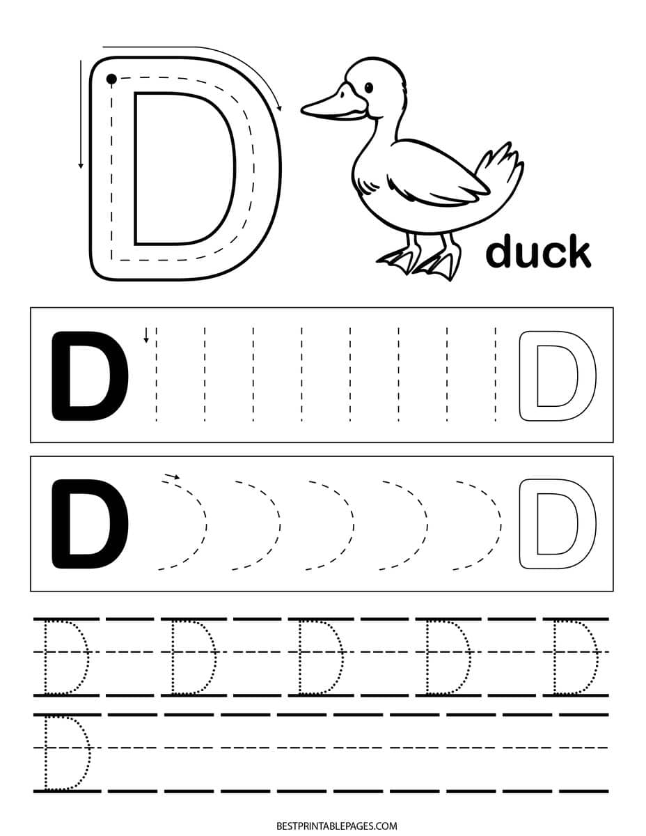 letter d worksheet