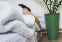 person sleeping on bed next to plant