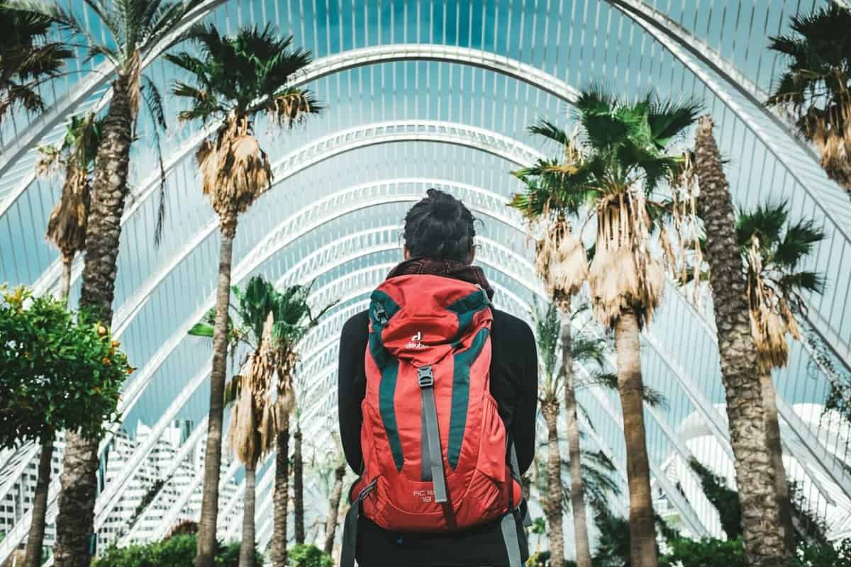 student looking at palm trees