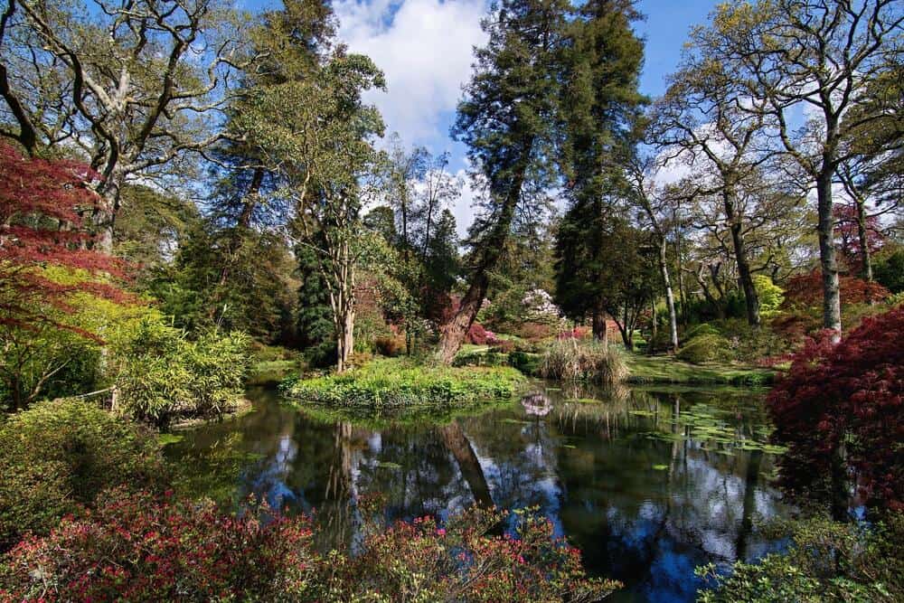 Exbury Gardens, Hampshire