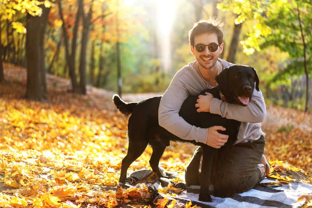 guy with dog labrodor in autumn park at sunset
