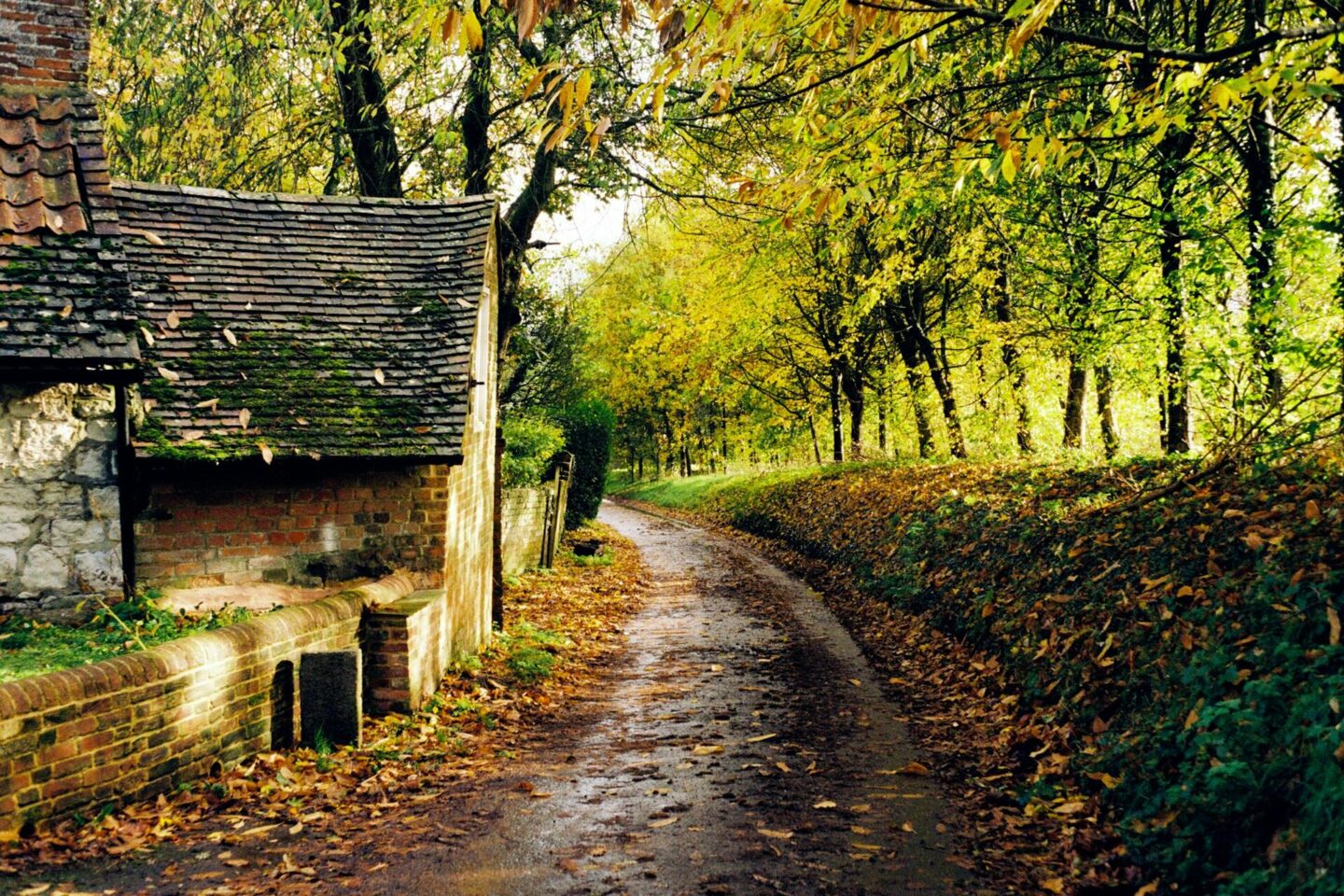 hampshire england
